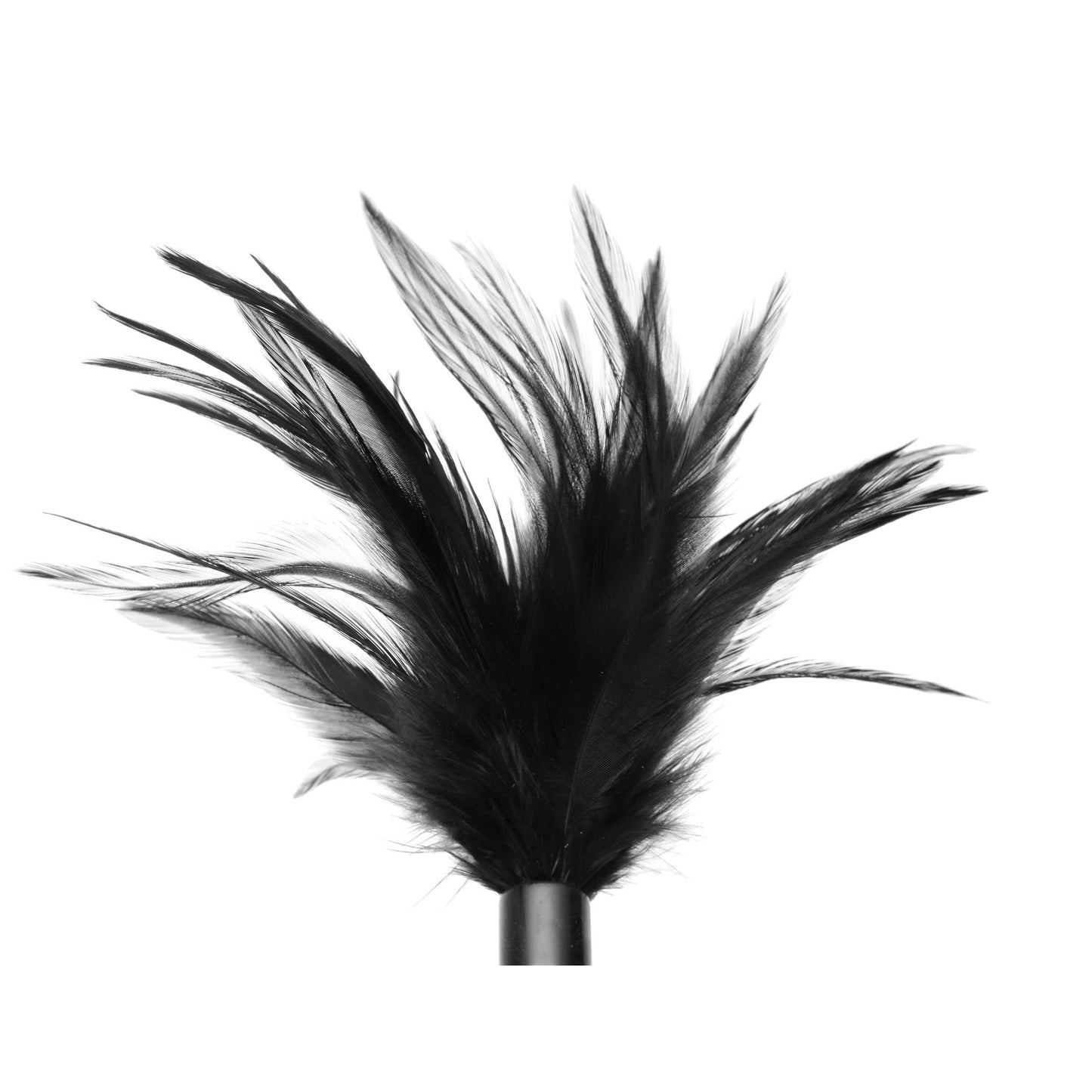 Le Plume Feather Tickler - Black