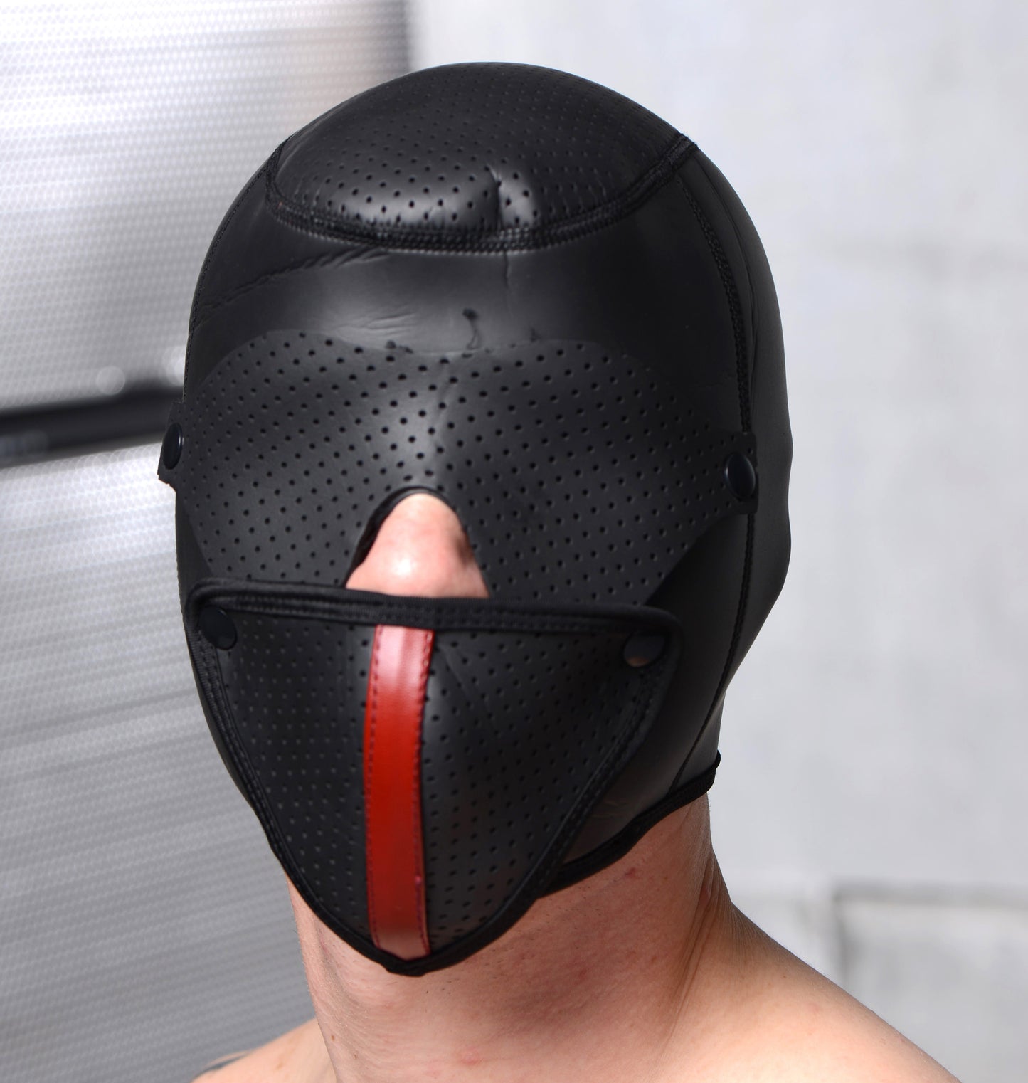 Scorpion Hood With Removable Blindfold And Face Mask