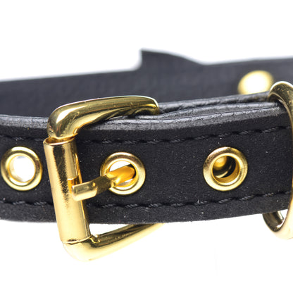 Golden Kitty Cat Bell Collar - Black/gold