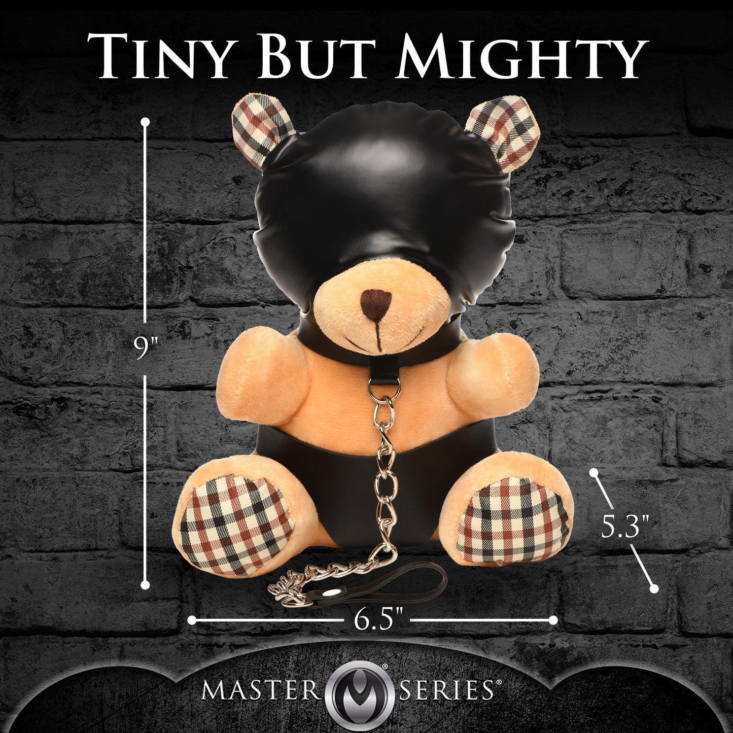 Hooded Bondage Teddy Bear