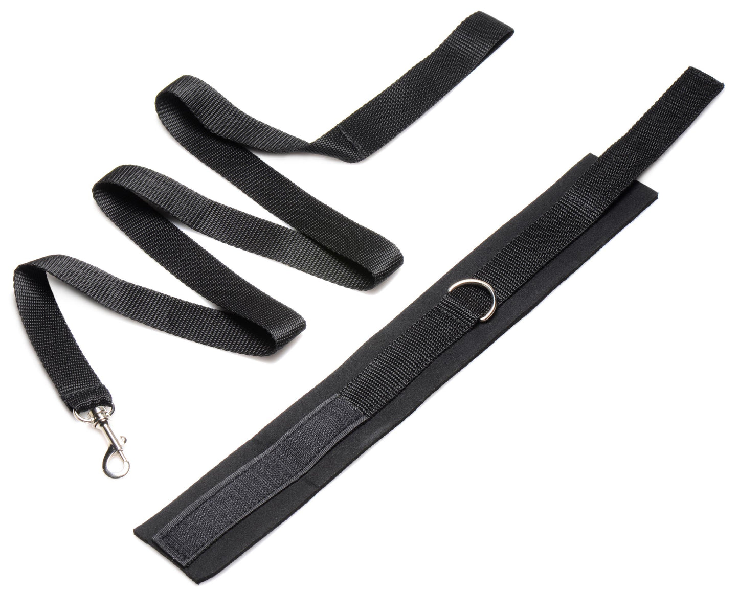 Frisky 46 Inch Leash And Collar Set